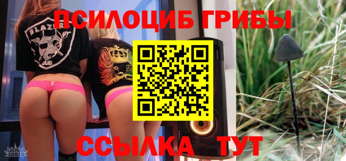 Псилоцибиновые грибы Cubensis  Вход с VPN  Новошахтинск 