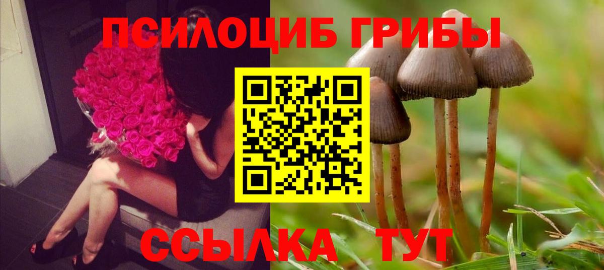 ГЕРОИН  Каннабис  ГАШИШ  КОКАИН  Новошахтинск  MDMA  МЕФ кристаллы  Вход с VPN  ГАШ 